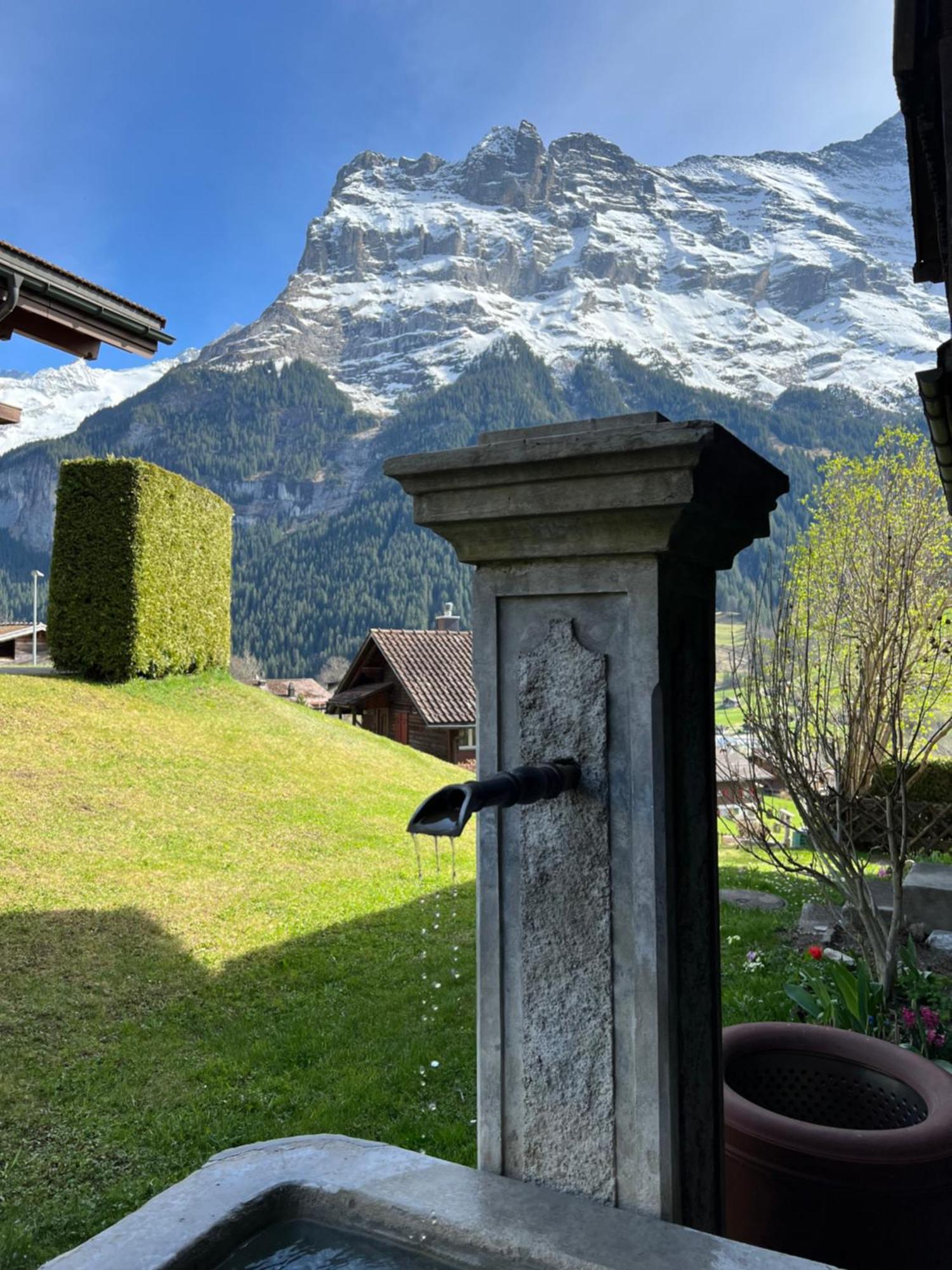 Deer * Grindelwald